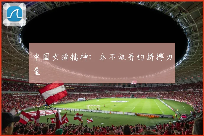 中国女排精神:永不放弃的拼搏力量